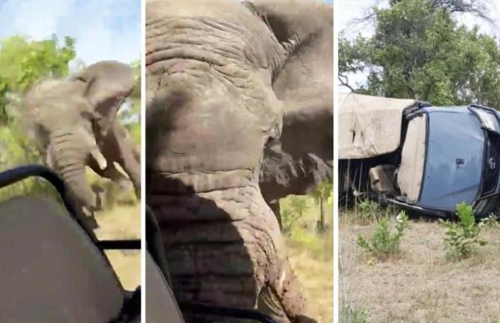 Turistlerin safari turu ölümle bitti