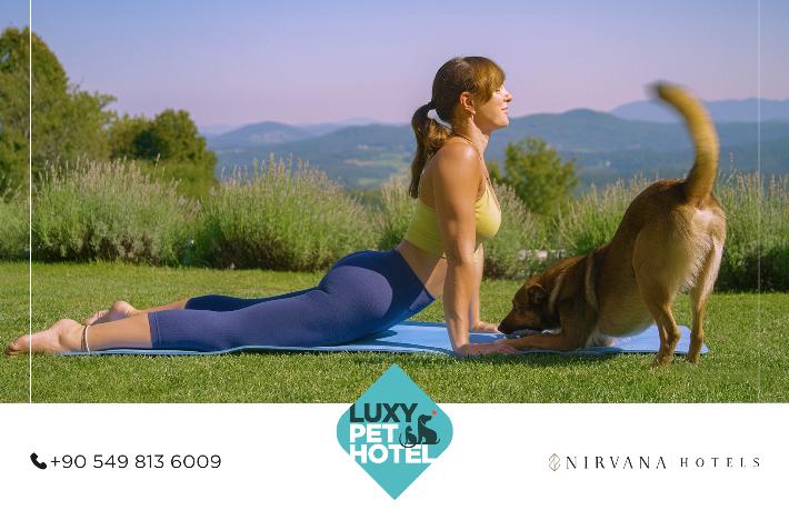 Nirvana Hotels’te Patili yoga etkinliği