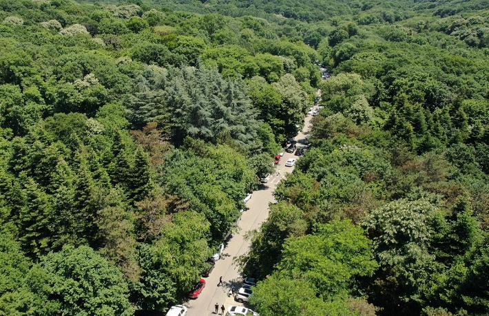 Belgrad Ormanı milli park oldu… Otel de yapılabilecek