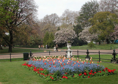 İstanbul ve Ankara'ya Hyde Park önerisi...