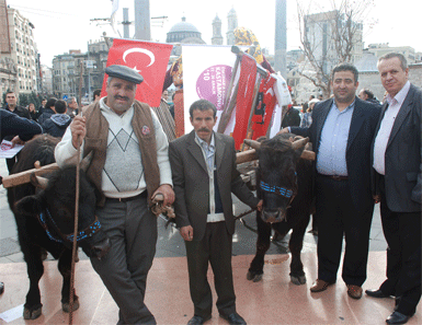 Şehit Şerife Bacı Kağnısı ile 'İstiklal Yolu Yürüyüşü'... 