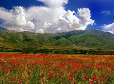 Van'da yabancı turistlere dağ yasağı kaldırıldı...