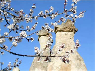 Kapadokya'ya gelen turist sayısında artış var... 