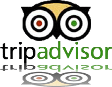 TripAdvisor'ın saygınlığı tehlikede...