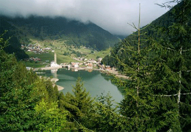 Trabzon, 2010'da coştu...